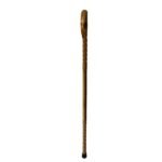 Protection Cane Hickory Strike front